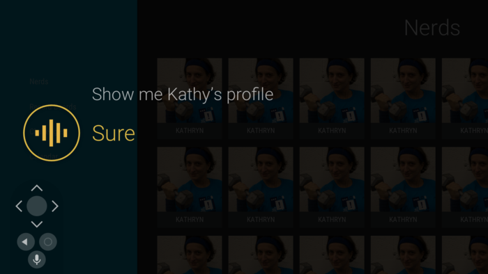 NerdFit Voice Interaction