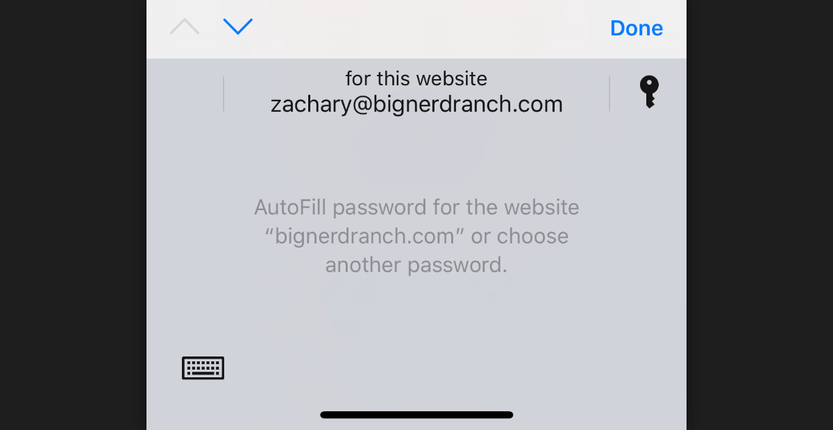 The iOS system keyboard with a password picker instead of keycaps
